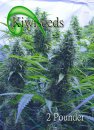 Kiwi Seeds 2 Pounder (Обычные)