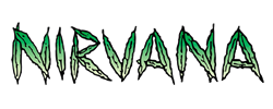 Nirvana Seeds