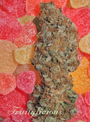 Семена Mandala Seeds Fruitylicious (Феминизированные)