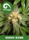 Hindu Kush (Обычные)
